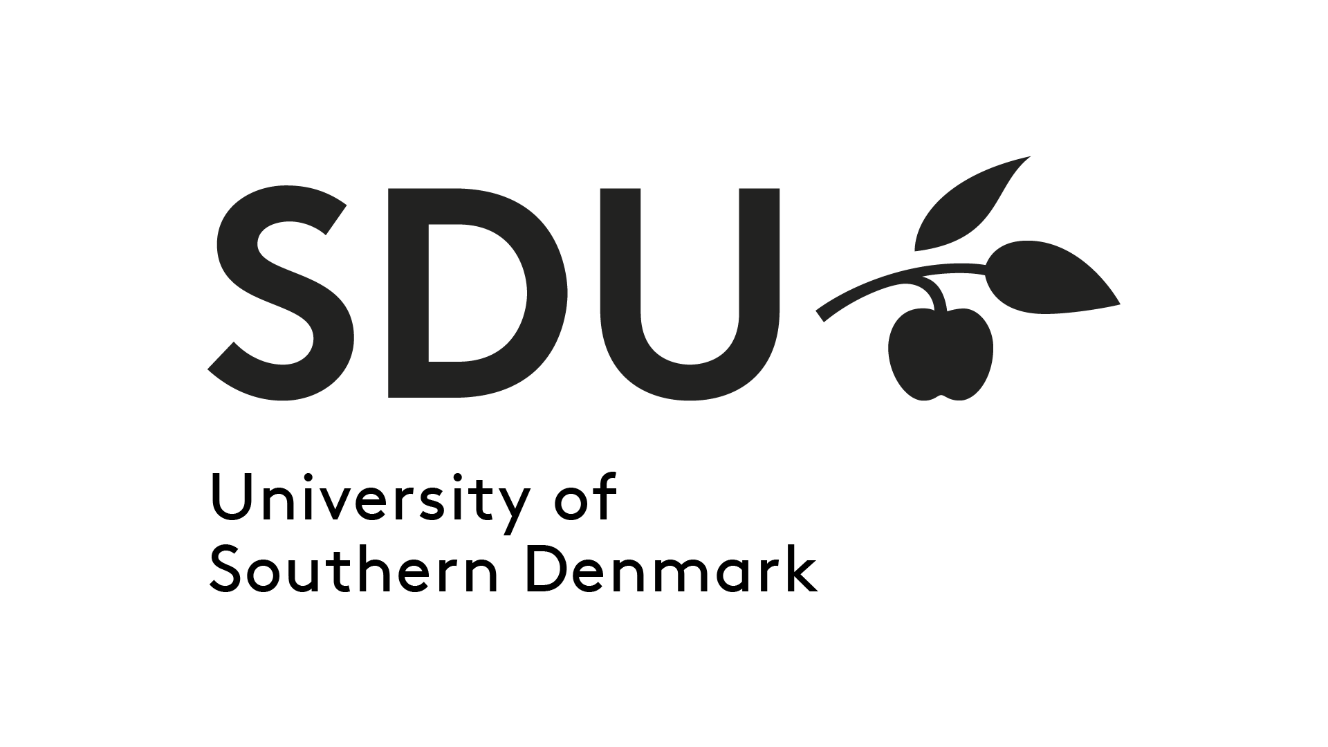 University of Southern Denmark